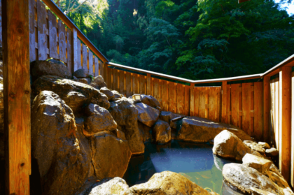 Beppu Showaen Room Onsen